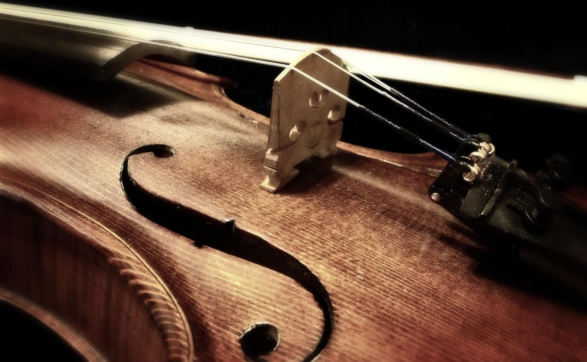 Violoncelliste Passionné Concentré Sur La Pratique à Domicile Pour Le  Prochain Concert